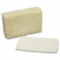 Protectionpro Cellulose Sponge PR3198250
